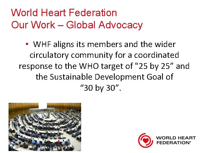World Heart Federation Our Work – Global Advocacy • WHF aligns its members and