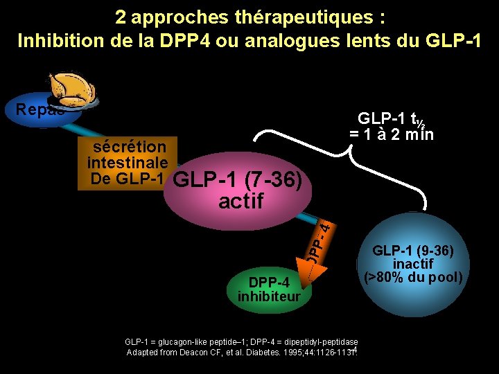 2 approches thérapeutiques : Inhibition de la DPP 4 ou analogues lents du GLP-1