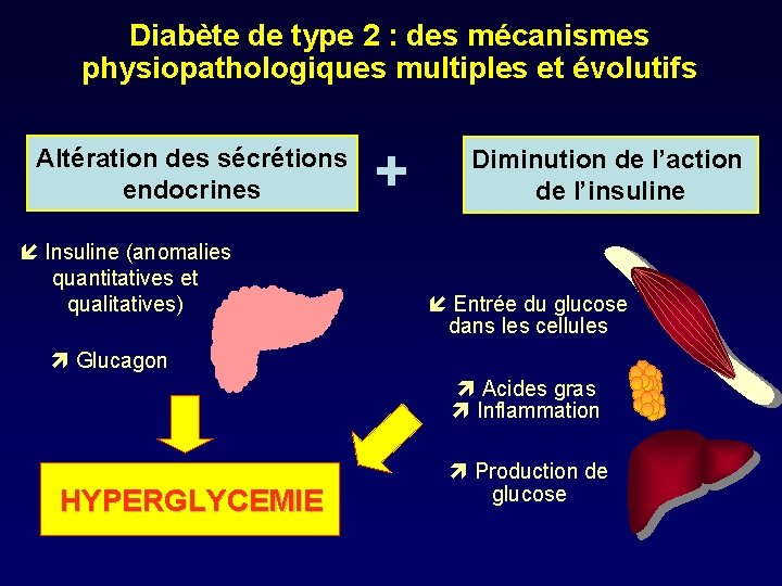 Diabète de type 2 : des mécanismes physiopathologiques multiples et évolutifs Altération des sécrétions