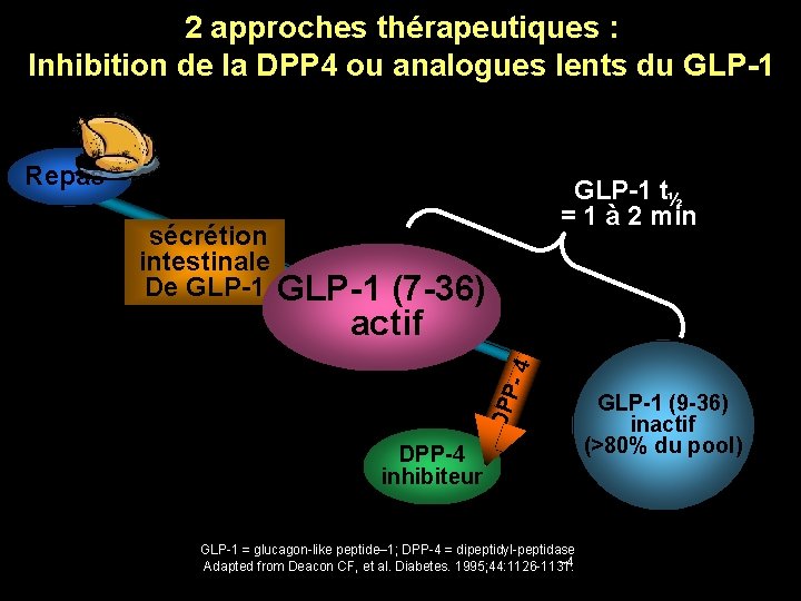 2 approches thérapeutiques : Inhibition de la DPP 4 ou analogues lents du GLP-1