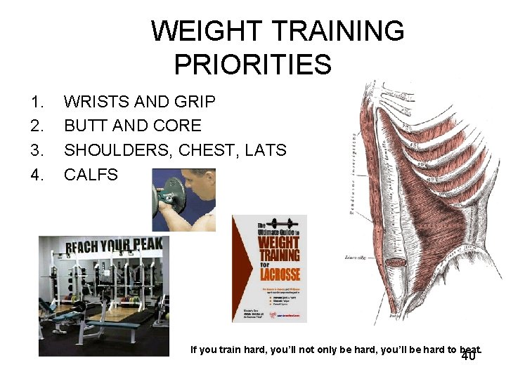 WEIGHT TRAINING PRIORITIES 1. 2. 3. 4. WRISTS AND GRIP BUTT AND CORE SHOULDERS,