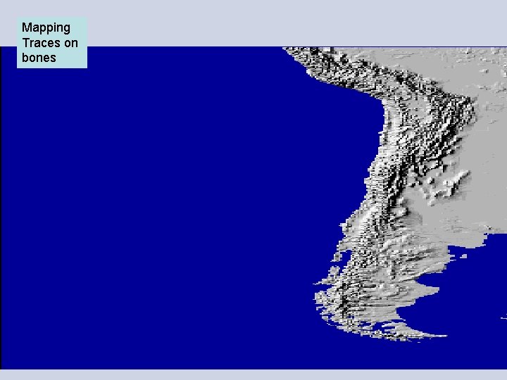 Mapping Traces on bones 