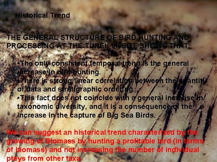 Historical Trend THE GENERAL STRUCTURE OF BIRD HUNTING AND PROCESSING AT THE TUNEL VII