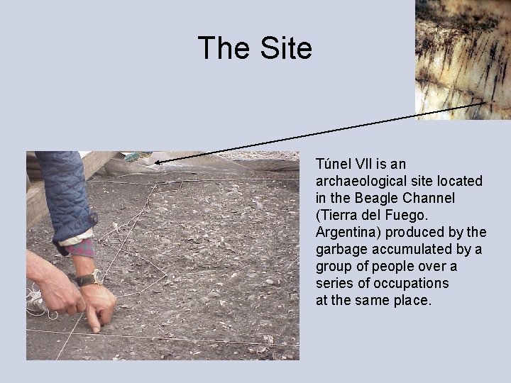 The Site Túnel VII is an archaeological site located in the Beagle Channel (Tierra