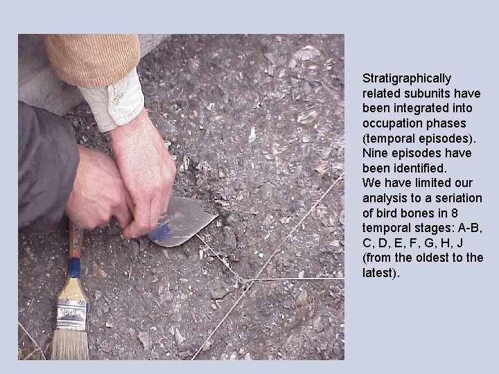 Stratigraphically related subunits have been integrated into occupation phases (temporal episodes). Nine episodes have