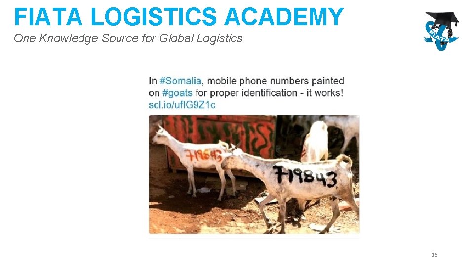 FIATA LOGISTICS ACADEMY One Knowledge Source for Global Logistics 16 