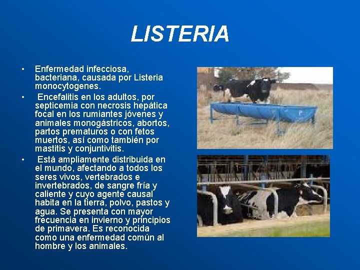 LISTERIA • • • Enfermedad infecciosa, bacteriana, causada por Listeria monocytogenes. Encefalitis en los