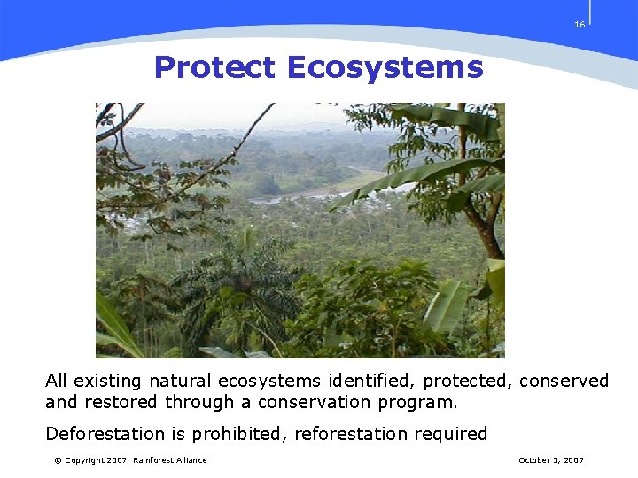 16 Protect Ecosystems All existing natural ecosystems identified, protected, conserved and restored through a