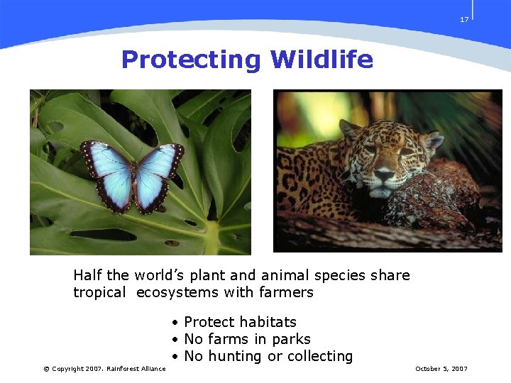 17 Protecting Wildlife Half the world’s plant and animal species share tropical ecosystems with