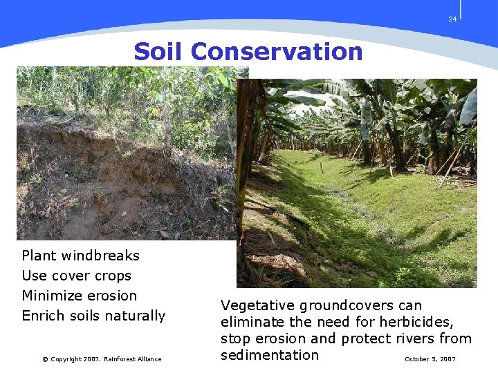 24 Soil Conservation Plant windbreaks Use cover crops Minimize erosion Enrich soils naturally ©