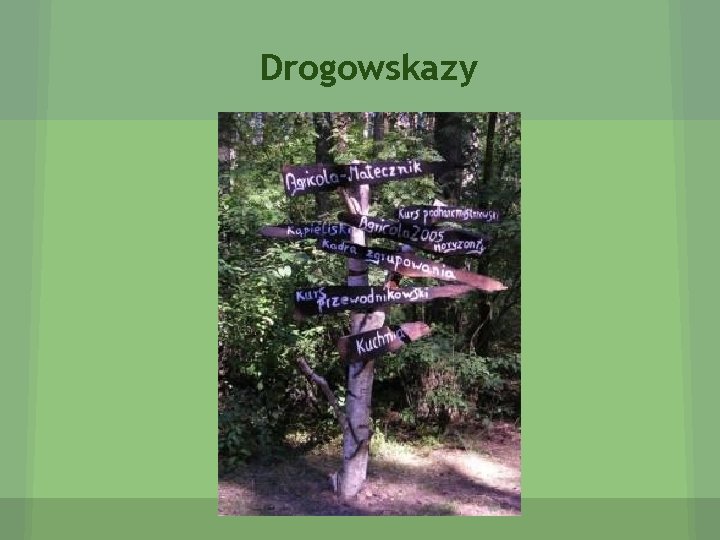 Drogowskazy 
