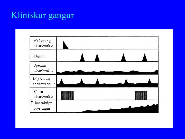 Klínískur gangur Akút/stínghöfuðverkur Mígren Spennuhöfuðverkur Mígren og spennuverkur Klasahöfuðverkur innankúpu þrýstingur 