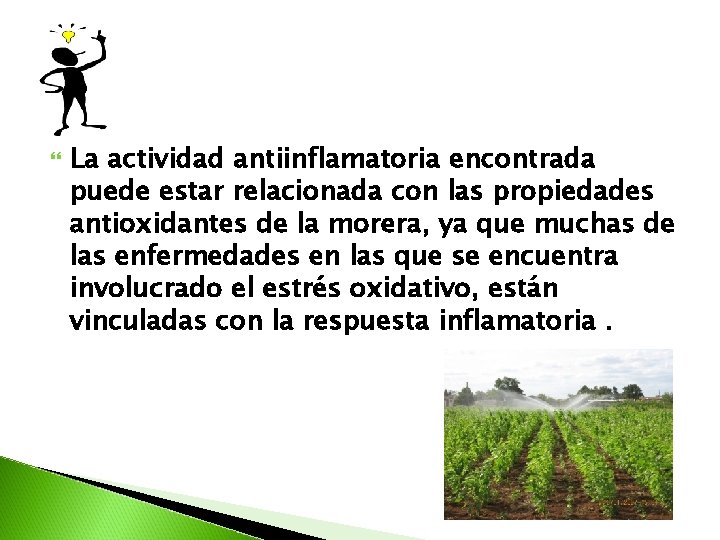 La actividad antiinflamatoria encontrada puede estar relacionada con las propiedades antioxidantes de la La actividad antiinflamatoria encontrada puede estar relacionada con las propiedades antioxidantes de la