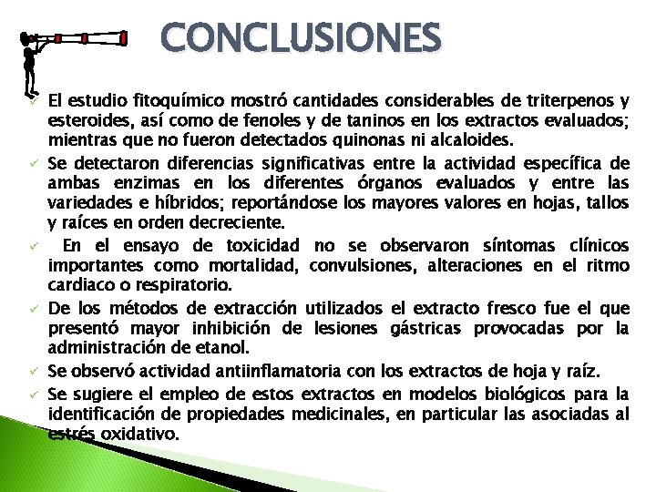 CONCLUSIONES ü ü ü El estudio fitoquímico mostró cantidades considerables de triterpenos y esteroides, CONCLUSIONES ü ü ü El estudio fitoquímico mostró cantidades considerables de triterpenos y esteroides,