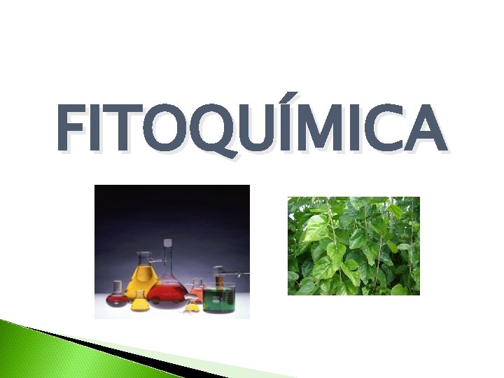 FITOQUÍMICA FITOQUÍMICA