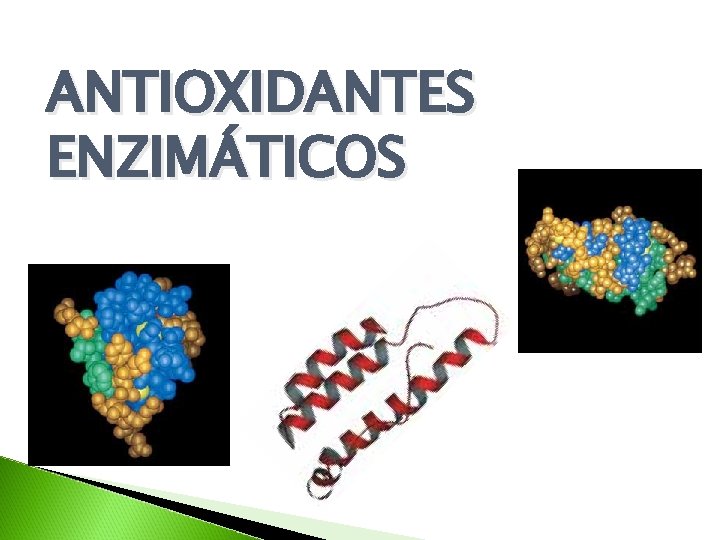 ANTIOXIDANTES ENZIMÁTICOS ANTIOXIDANTES ENZIMÁTICOS