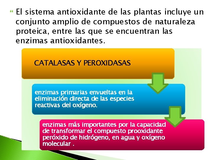 El sistema antioxidante de las plantas incluye un conjunto amplio de compuestos de El sistema antioxidante de las plantas incluye un conjunto amplio de compuestos de