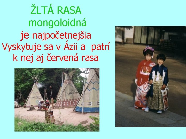 ŽLTÁ RASA mongoloidná je najpočetnejšia Vyskytuje sa v Ázii a patrí k nej aj