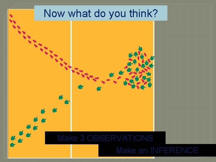 Now what do you think? Make 3 OBSERVATIONS Make an INFERENCE 