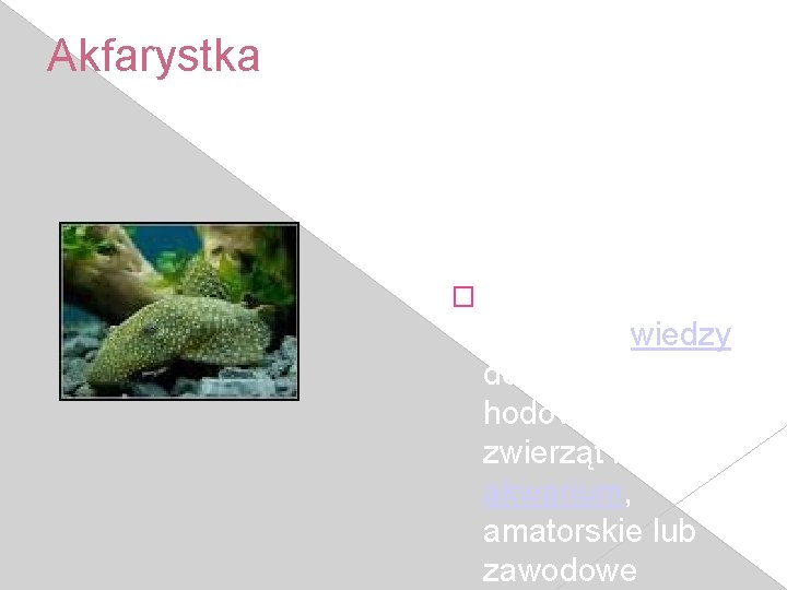 Akfarystka � Akwarystyka – dziedzina wiedzy dotycząca hodowli wodnych zwierząt i roślin w akwarium,