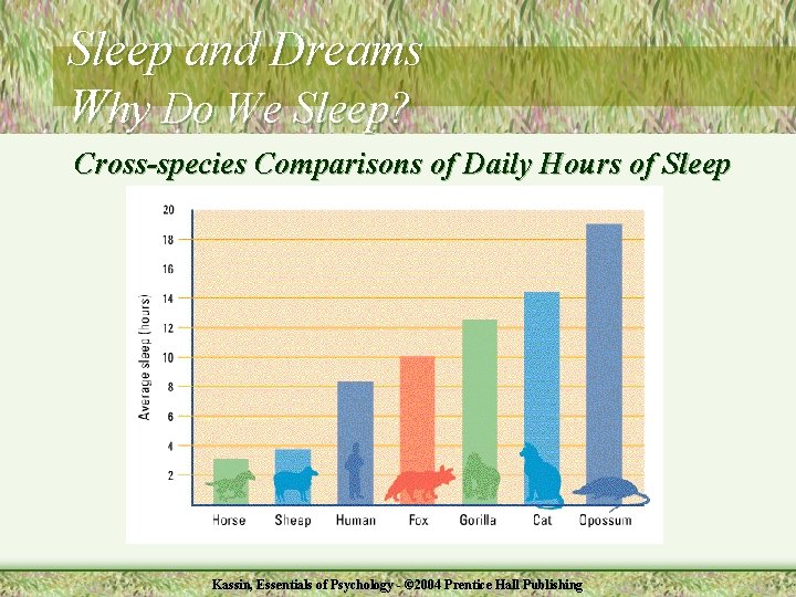 Sleep and Dreams Why Do We Sleep? Cross-species Comparisons of Daily Hours of Sleep