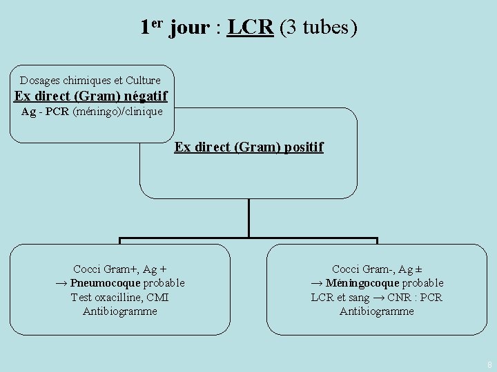 1 er jour : LCR (3 tubes) Dosages chimiques et Culture Ex direct (Gram)