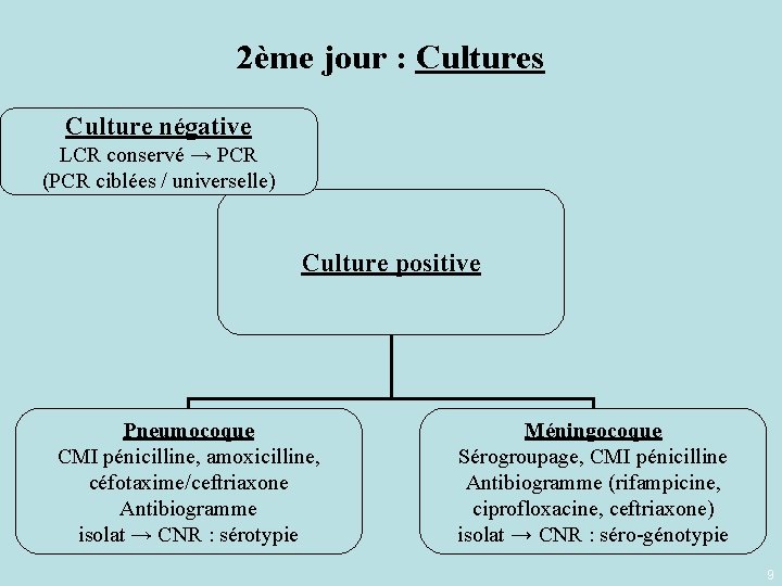2ème jour : Cultures Culture négative LCR conservé → PCR (PCR ciblées / universelle)