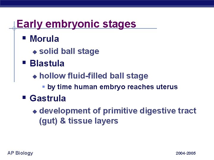 Early embryonic stages § Morula u solid ball stage § Blastula u hollow fluid-filled