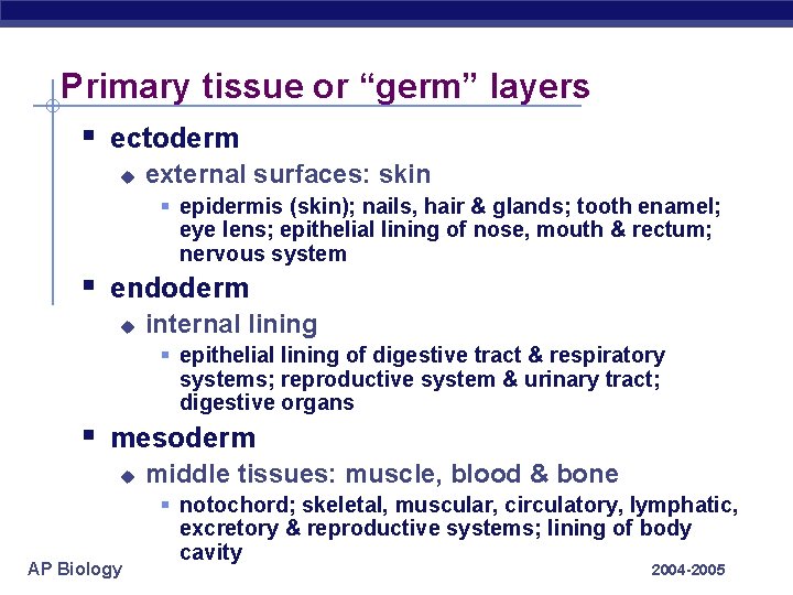 Primary tissue or “germ” layers § ectoderm u external surfaces: skin § epidermis (skin);