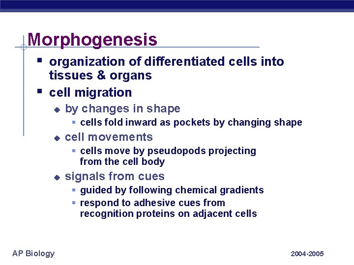 Morphogenesis § organization of differentiated cells into § tissues & organs cell migration u