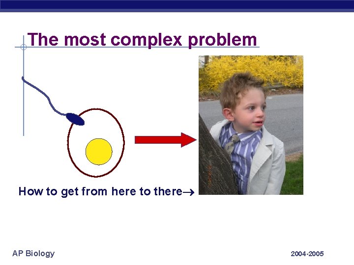 The most complex problem How to get from here to there AP Biology 2004