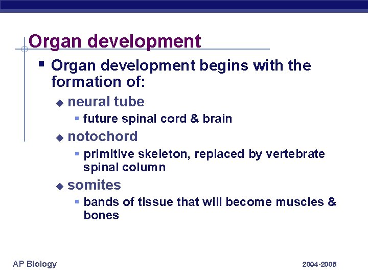 Organ development § Organ development begins with the formation of: u neural tube §