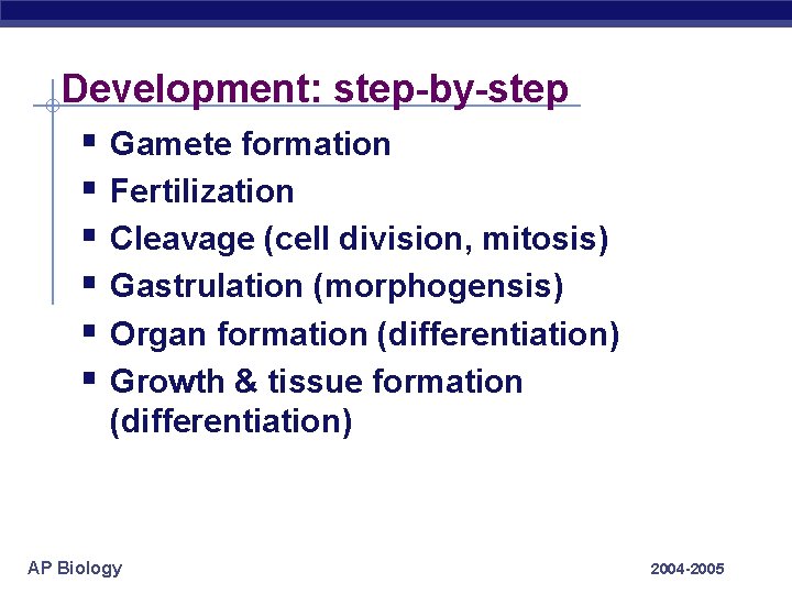 Development: step-by-step § Gamete formation § Fertilization § Cleavage (cell division, mitosis) § Gastrulation