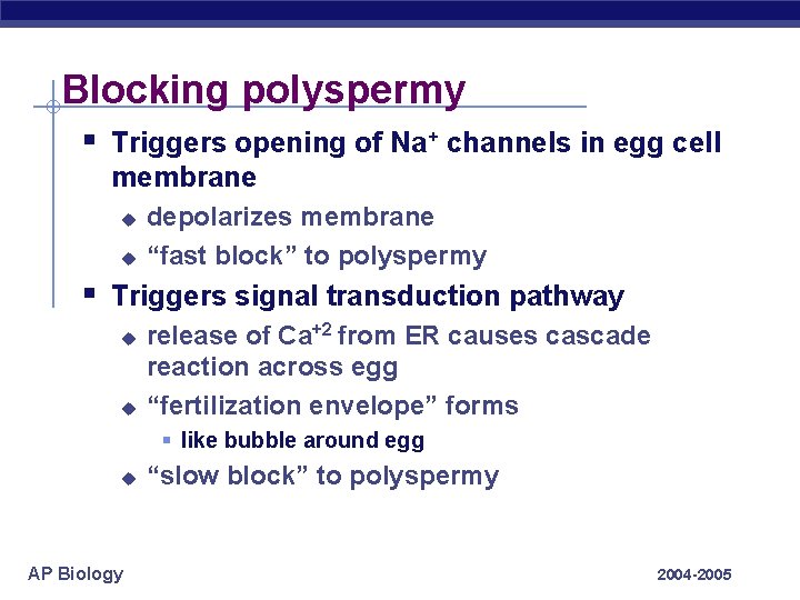 Blocking polyspermy § Triggers opening of Na+ channels in egg cell membrane u u