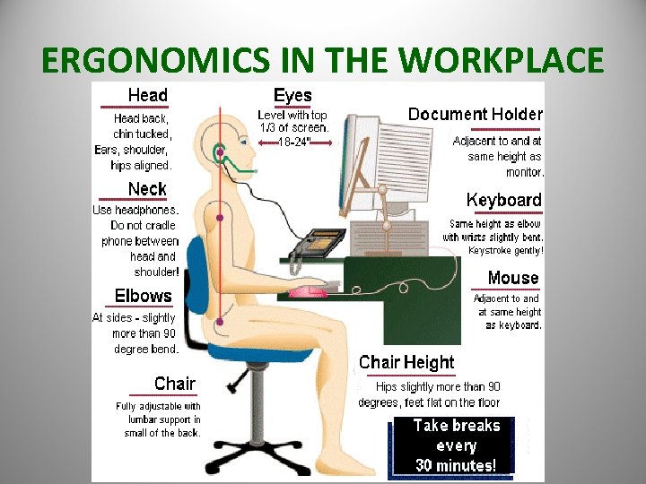 ERGONOMICS IN THE WORKPLACE 