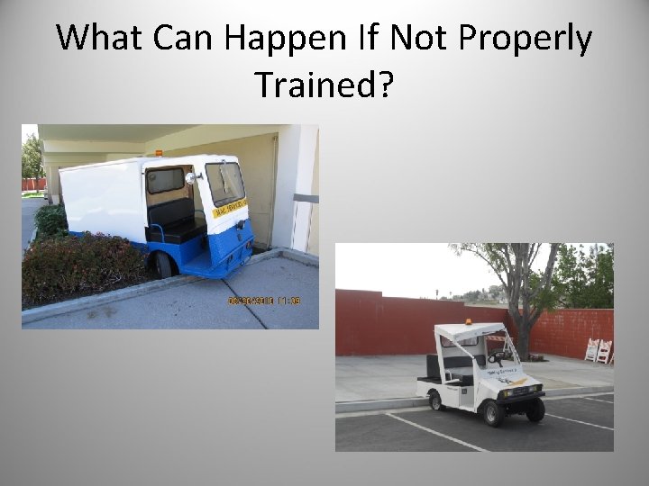 What Can Happen If Not Properly Trained? 