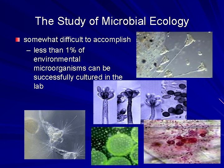 The Study of Microbial Ecology somewhat difficult to accomplish – less than 1% of