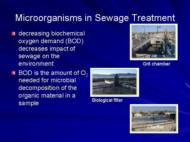 Microorganisms in Sewage Treatment decreasing biochemical oxygen demand (BOD) decreases impact of sewage on