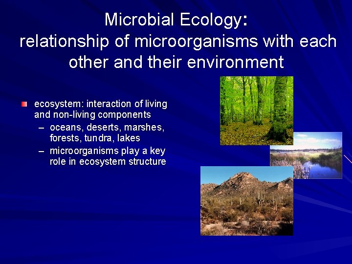 Microbial Ecology: relationship of microorganisms with each other and their environment ecosystem: interaction of