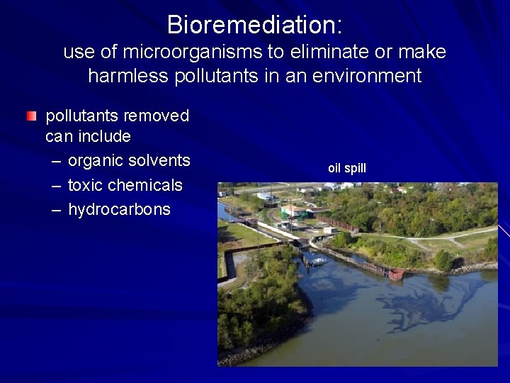Bioremediation: use of microorganisms to eliminate or make harmless pollutants in an environment pollutants