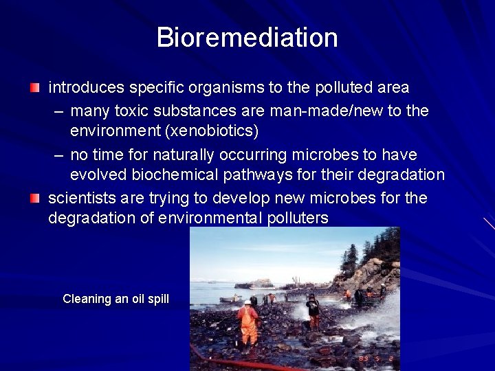 Bioremediation introduces specific organisms to the polluted area – many toxic substances are man-made/new