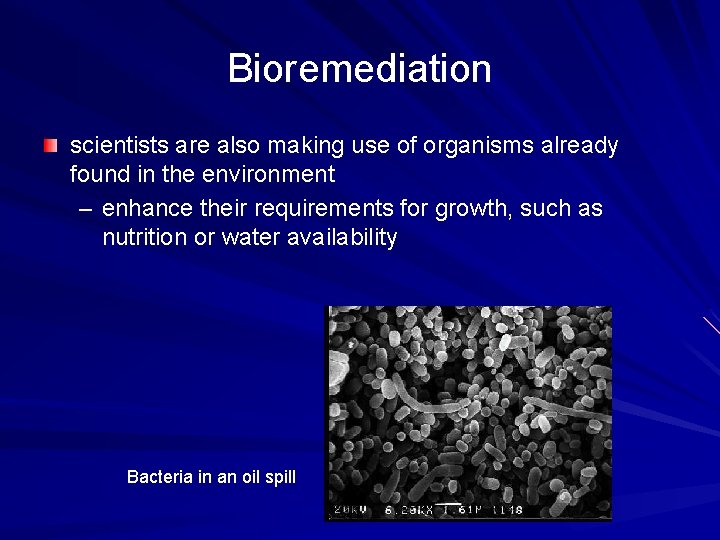 Bioremediation scientists are also making use of organisms already found in the environment –