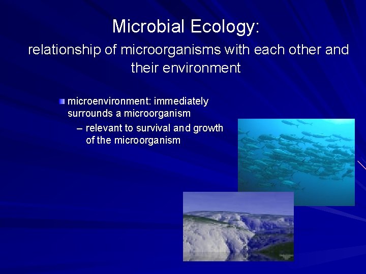 Microbial Ecology: relationship of microorganisms with each other and their environment microenvironment: immediately surrounds