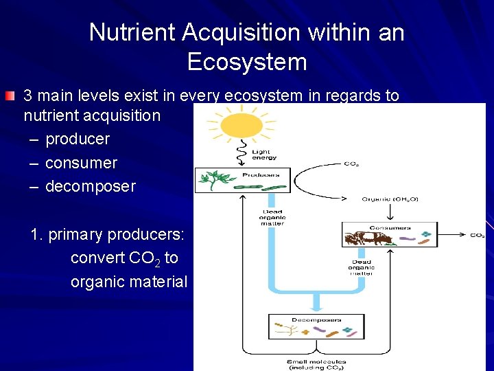 Nutrient Acquisition within an Ecosystem 3 main levels exist in every ecosystem in regards