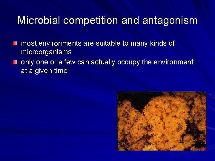 Microbial competition and antagonism most environments are suitable to many kinds of microorganisms only