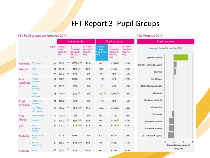 FFT Report 3: Pupil Groups 