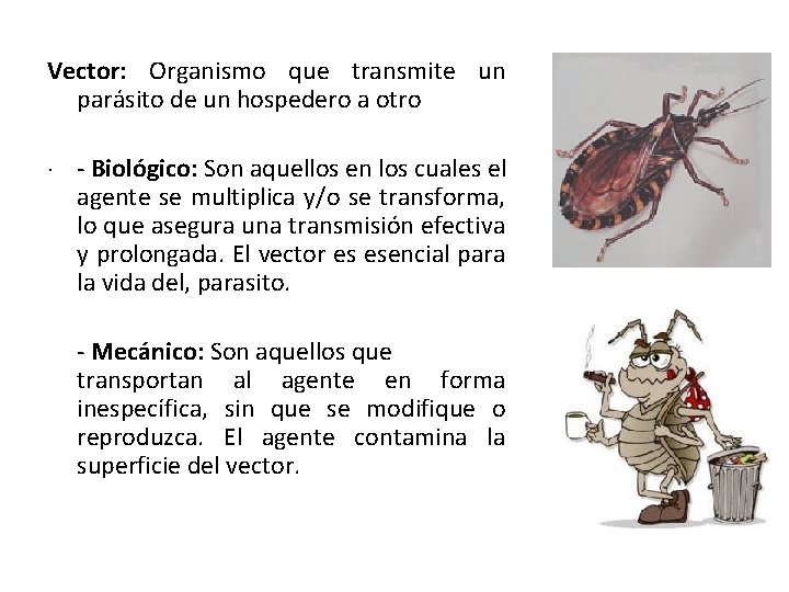 Vector: Organismo que transmite un parásito de un hospedero a otro. - Biológico: Son