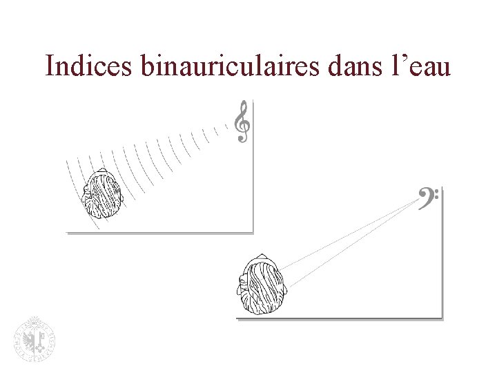 Indices binauriculaires dans l’eau 