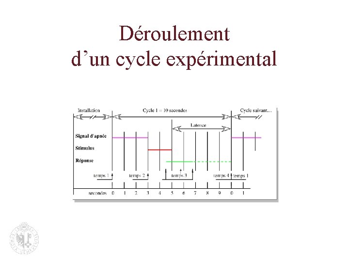 Déroulement d’un cycle expérimental 