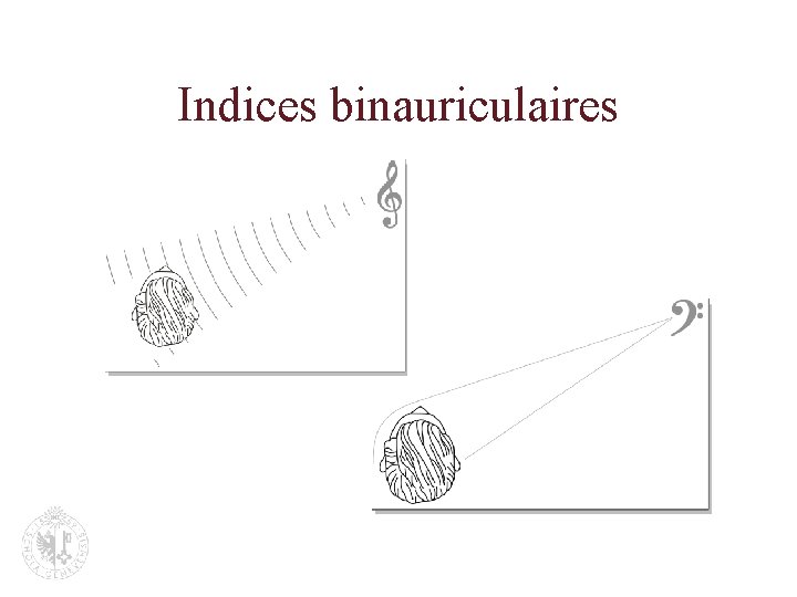 Indices binauriculaires 